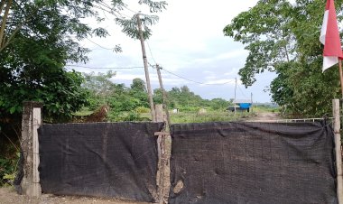 Bibit Sawit Diduga Palsu & Catut Merek Ternama Beredar di Kec.Setia Bakti, Aceh Jaya