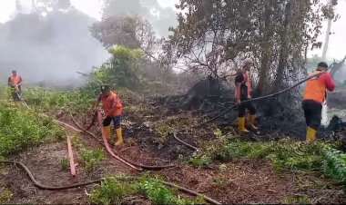 Bertambah Luas, Karhutla Di Kec.Bakongan, Aceh Selatan Hanguskan 4 Hektar Lahan