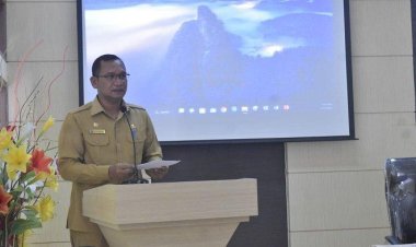 Indeks Pembangunan Statistik Aceh Selatan naik jadi 2,85