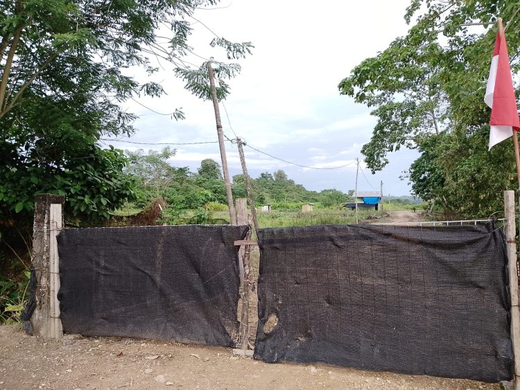 Bibit Sawit Diduga Palsu & Catut Merek Ternama Beredar di Kec.Setia Bakti, Aceh Jaya