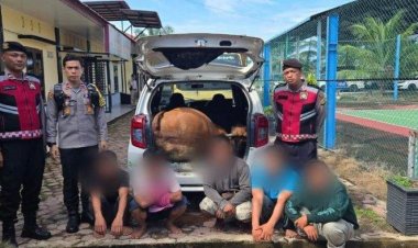 Warga Kec. Singkil Utara Tangkap Lima Pencuri Lembu Saat Beraksi