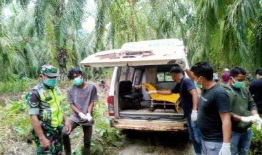 Warga Temukan Mayat Laki-laki Membusuk di Kebun Sawit Kec.Suro Makmur, Aceh Singkil