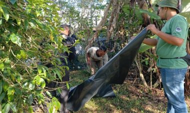 Resahkan Warga, BKSDA Mulai Pasang Perangkap Beruang di Kec.Jagong Jeget, Aceh Tengah