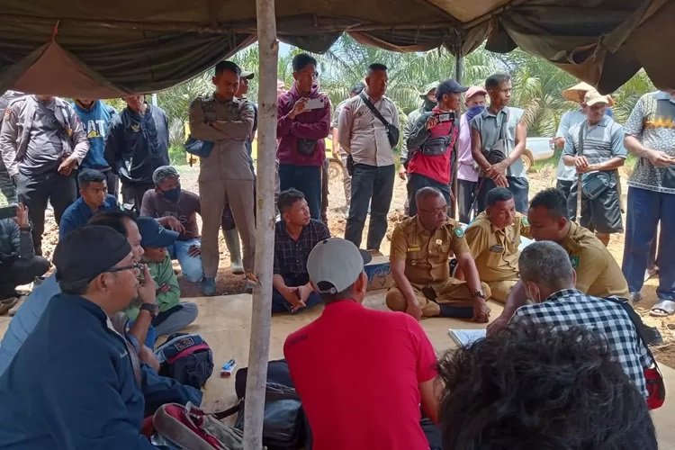 Sengketa Tenurial di Riau Dipicu Izin Konsesi, 11 dari 80 Kasus Mendesak untuk Diselesaikan