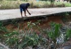 Cegah Abrasi di Jalan Astra, PUTR Rohil Bangun Turap