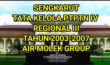 Skandal Lahan Fiktif PTPN V: Negara Rugi Rp56,8 Miliar, Proyek Kebun Inti Diduga Hanya Akal-akalan
