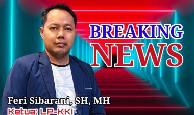 Ahli Hukum Sebut, Kasus PT INALUM Condong Perdata Daripada Tipikor, Dibantah Aspidsus Kajati Sumut