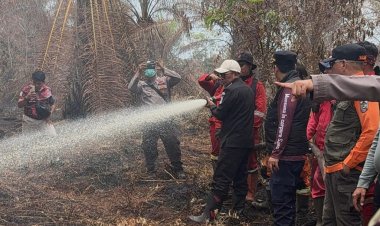 Respon Cepat, Bupati Pelalawan Cek Lokasi Karhutla di Desa Gambut Mutiara